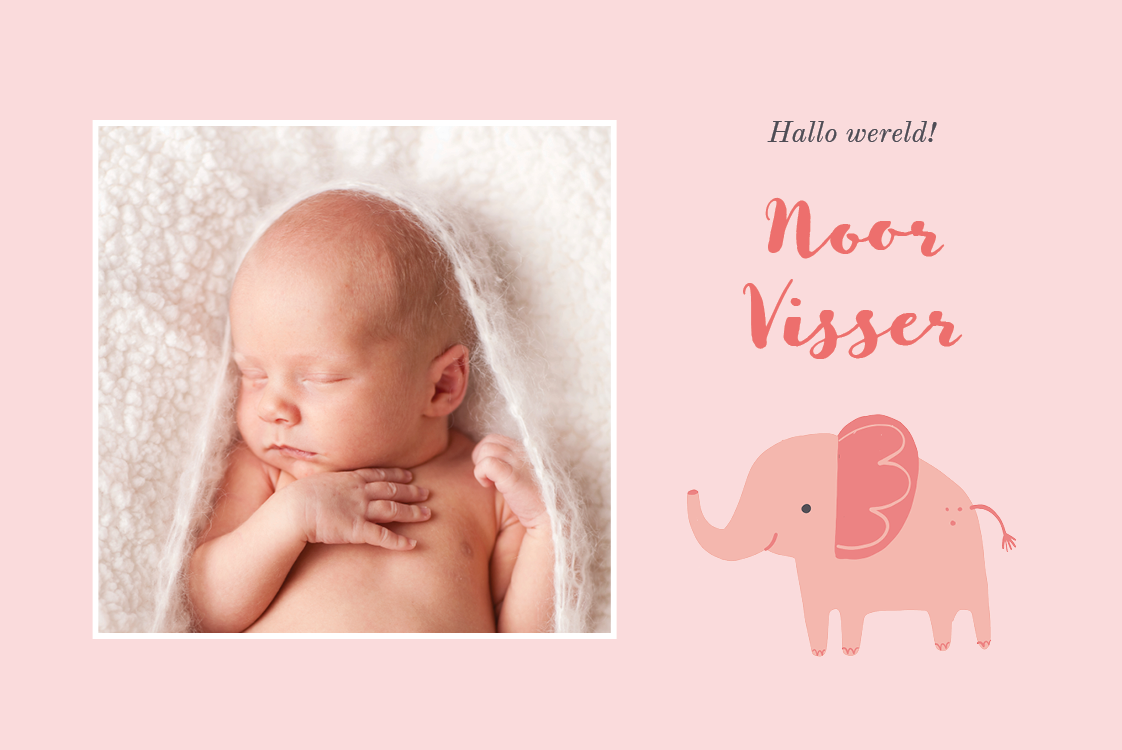 Uitnodigingen — Roze olifant