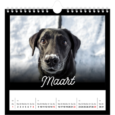 Jaarkalenders vierkant — Zwart [Maart]
