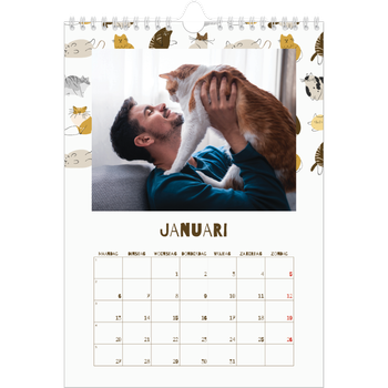 Fotokalender A4 — Speelse kitten