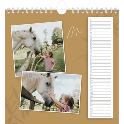 __breadcrumb.calendar_birthday_square.name — Warme aardetinten [Mei]