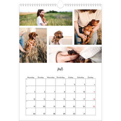 A3 Jaarkalender — Foto arrangement [omslag]