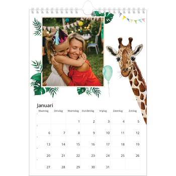 Fotokalender A4 — Aquarel dieren