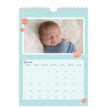 Fotokalender A5 — Schattige dieren