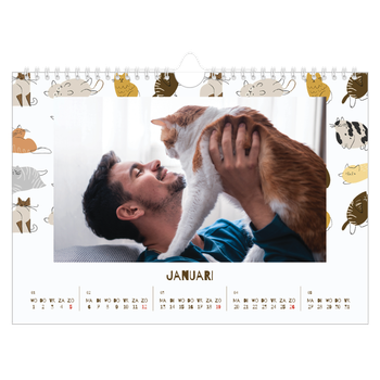 Fotokalender A4 — Speelse kitten