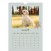 Fotokalender A4 (20 x 30 cm) — Speelse puppy [Maart]
