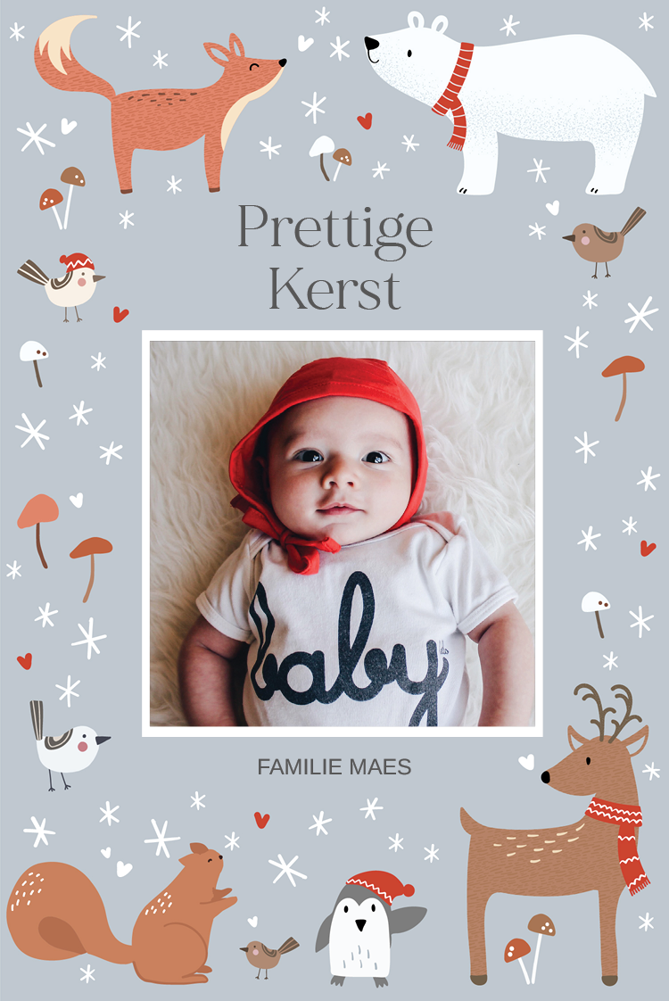 Fotokaarten — Winterse landschappen