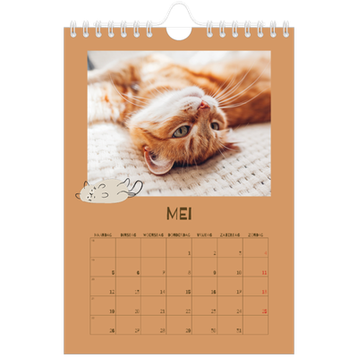 Fotokalender A5 — Speelse kitten [omslag]