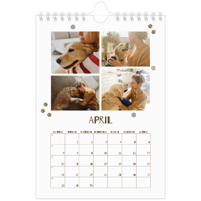 Fotokalender A5 — Speelse puppy [April]
