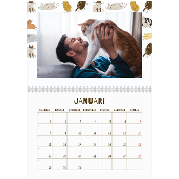 Fotokalender A4 Dubbel — Speelse kitten
