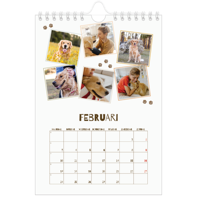 Fotokalender A5 — Speelse puppy [Februari]