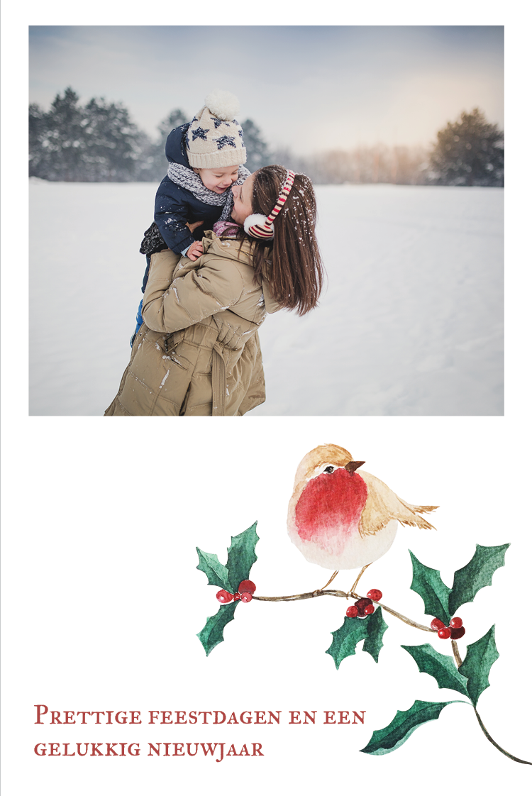 Fotokaarten — Hey, Robin!