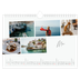 Fotokalender A4 — City trip [Mei]