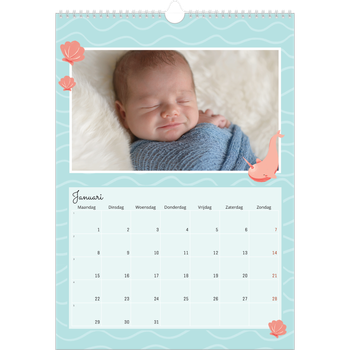 Fotokalender A3 — Schattige dieren