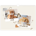 Fotokalender A3 — Speelse kitten [omslag]