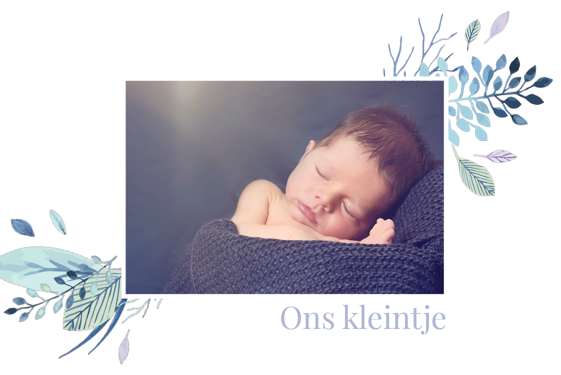 Uitnodigingen — Takjesmotief