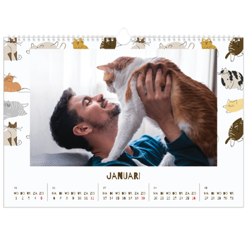 Fotokalender A3 — Speelse kitten