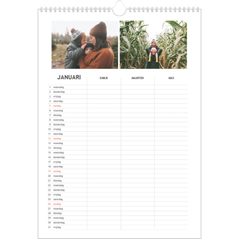 Fotokalender A3 — Simplistisch - gezinsplanner 3 personen