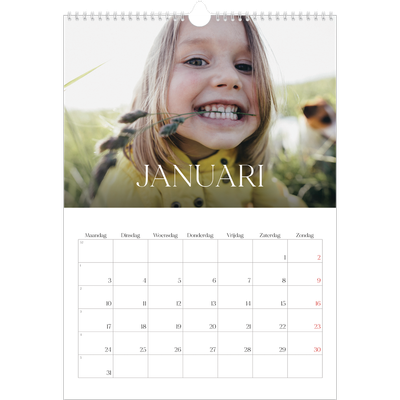 A3 Jaarkalender — Twaalf grote maanden [Januari]
