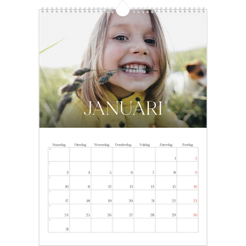 Fotokalender A3 — Twaalf grote maanden