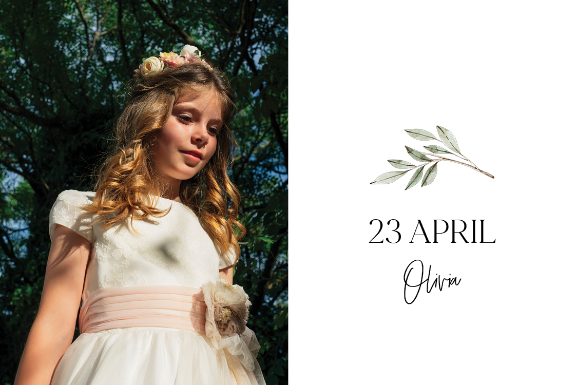 Bedankkaarten — Olijftak