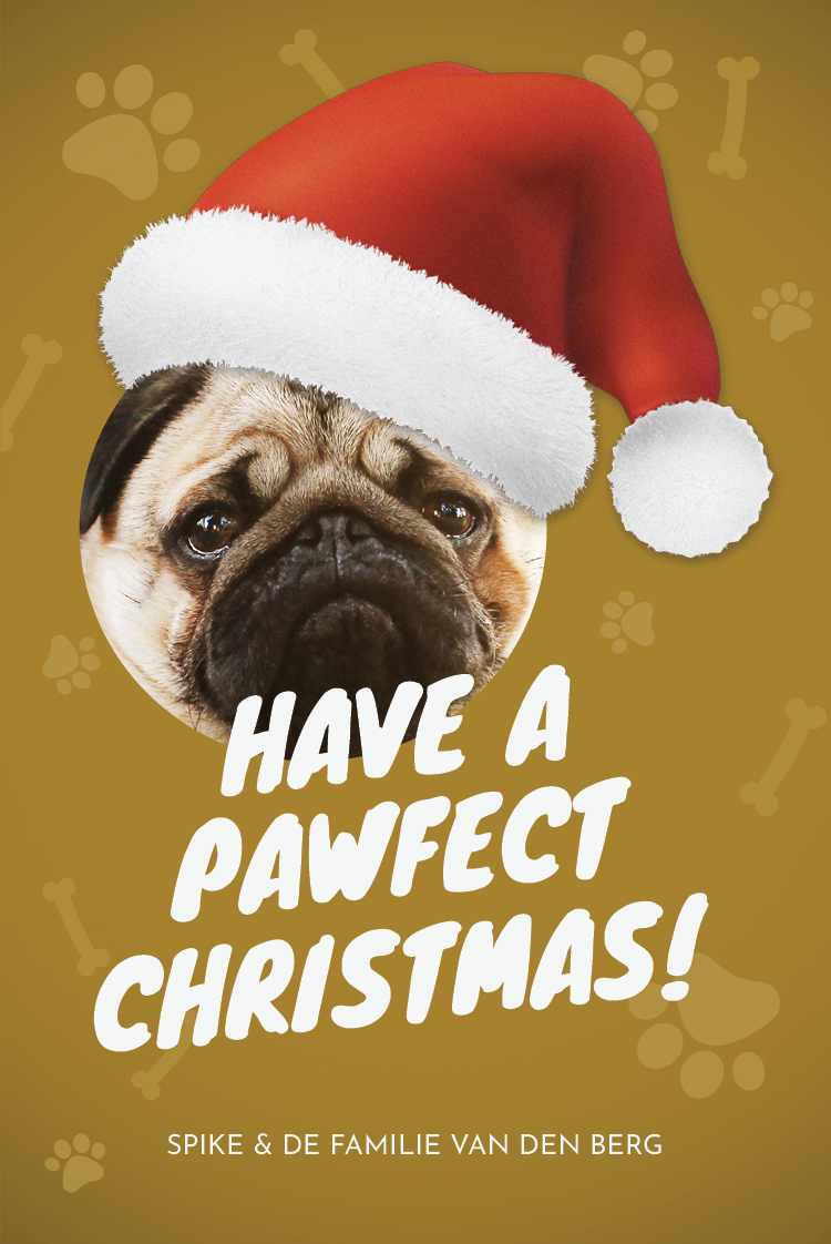 Fotokaarten — The pawfect Christmas
