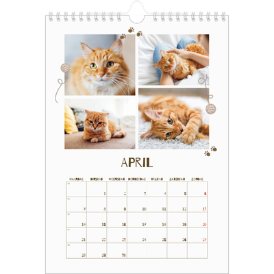 Fotokalender A4 (20 x 30 cm) — Speelse kitten [April]