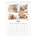 Fotokalender A4 (20 x 30 cm) — Speelse kitten [April]