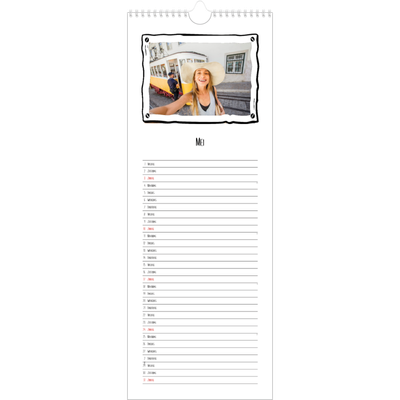 Smalle kalender  — Plakboekmomenten [omslag]