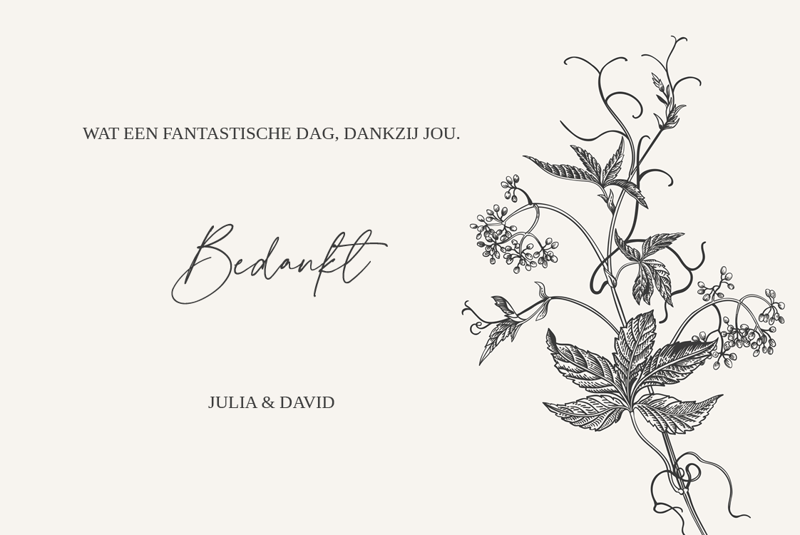 Bedankkaarten — Inkt & klimop