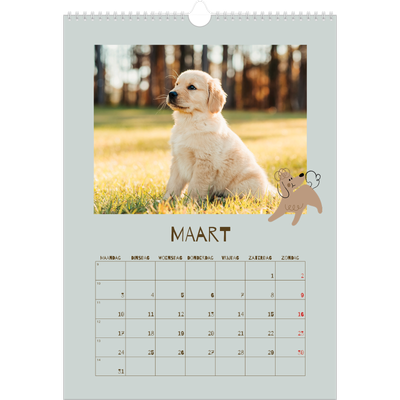 A3 Jaarkalender — Speelse puppy [Maart]