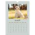 A3 Jaarkalender — Speelse puppy [Maart]