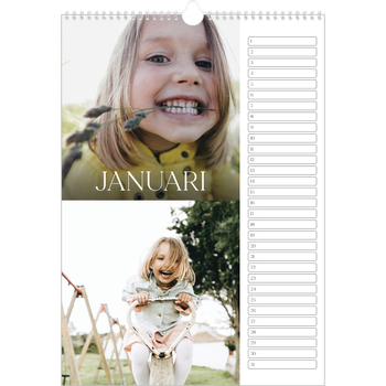 Fotokalender A3 — Twaalf grote maanden