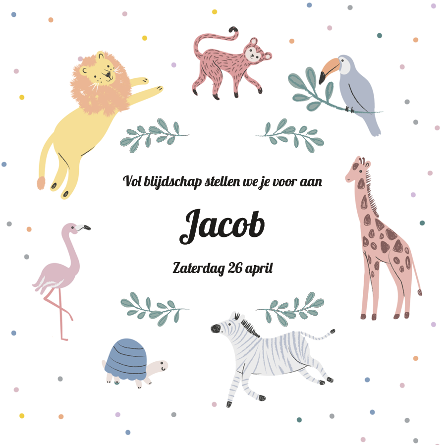 Uitnodigingen — Schattige safari