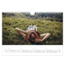 Fotokalender A4 — Eindeloze ontsnapping [Mei]