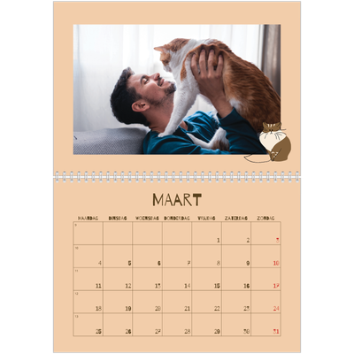 Fotokalender A4 Dubbel (30 x 40 cm) — Speelse kitten [Maart]