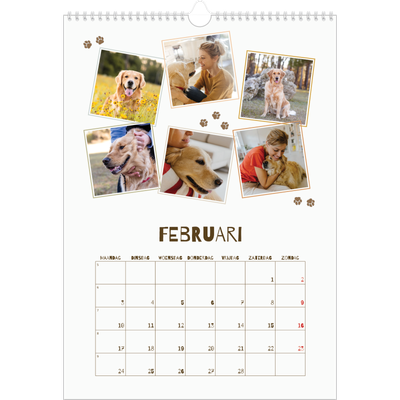A3 Jaarkalender — Speelse puppy [Februari]