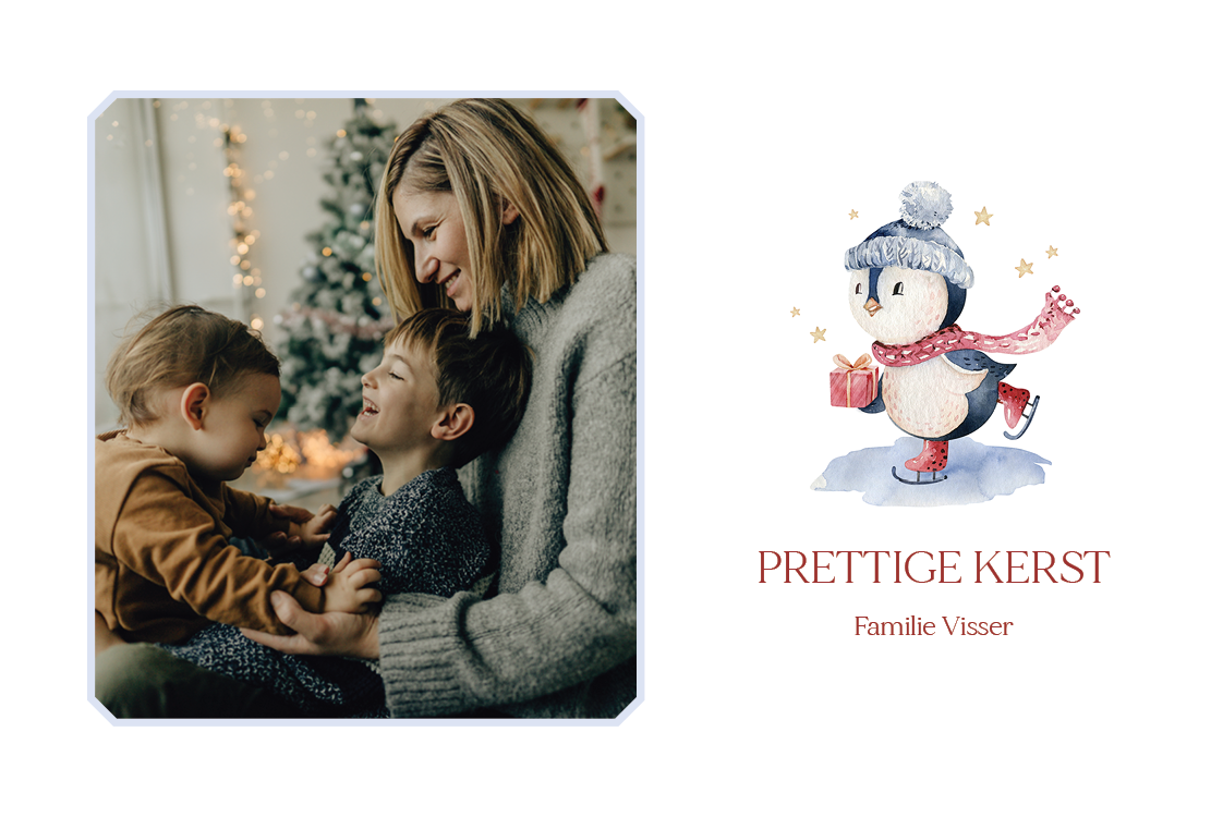 Fotokaarten — Schaatsende pinguin