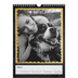 Fotokalender A4 (20 x 30 cm) — Foto in glitterrand [Februari]