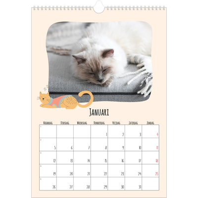 A3 Jaarkalender — Kattenpoten en krabbels [Januari]