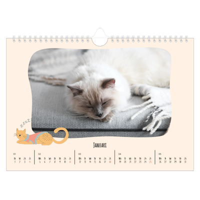Fotokalender A4 — Kattenpoten en krabbels [Januari]