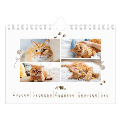 Fotokalender A5 — Speelse kitten [April]