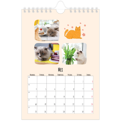 Fotokalender A5 — Kattenpoten en krabbels [omslag]