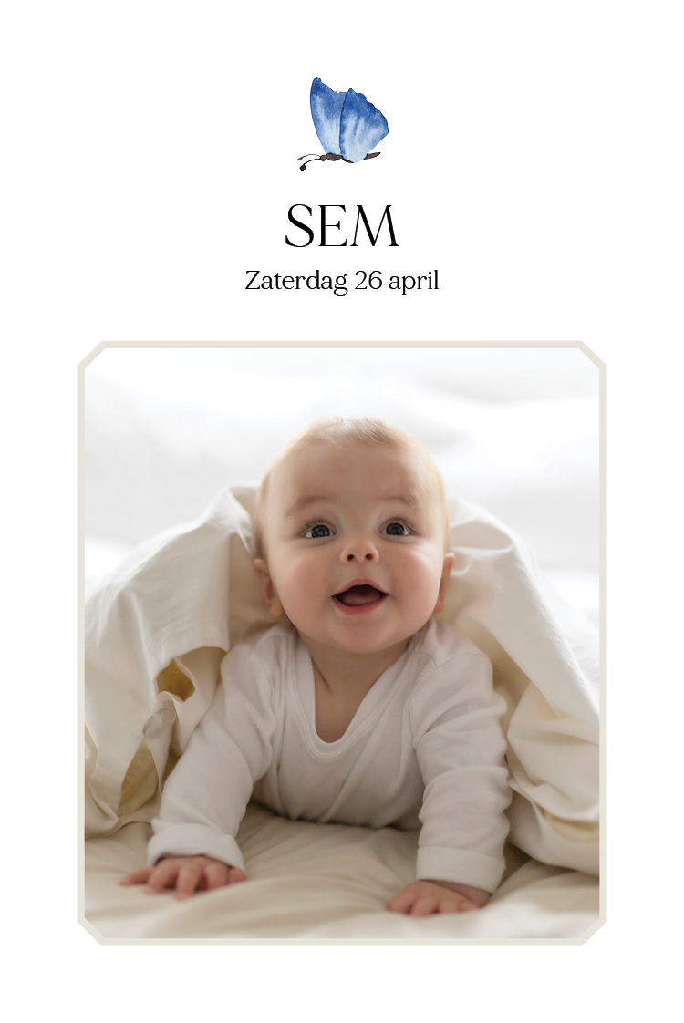 Uitnodigingen — Kleine vlinders