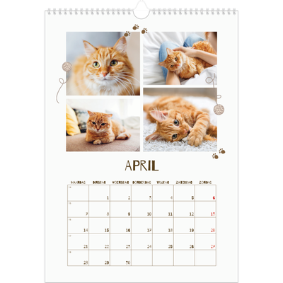 A3 Jaarkalender — Speelse kitten [April]