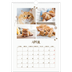 A3 Jaarkalender — Speelse kitten [April]