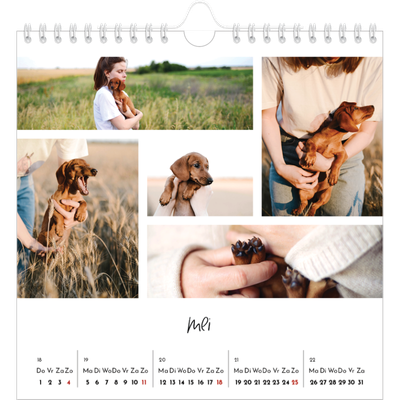 Jaarkalenders vierkant — Foto arrangement [omslag]