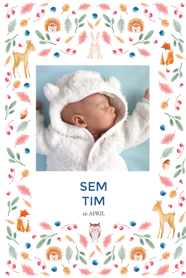 Uitnodigingen — Bosdierbehang