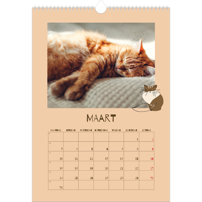 A3 Jaarkalender — Speelse kitten [Maart]