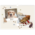 Fotokalender A3 — Speelse puppy [omslag]