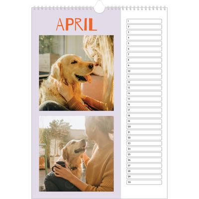 Verjaardagskalenders A3 — Vrolijk & kleurrijk [April]